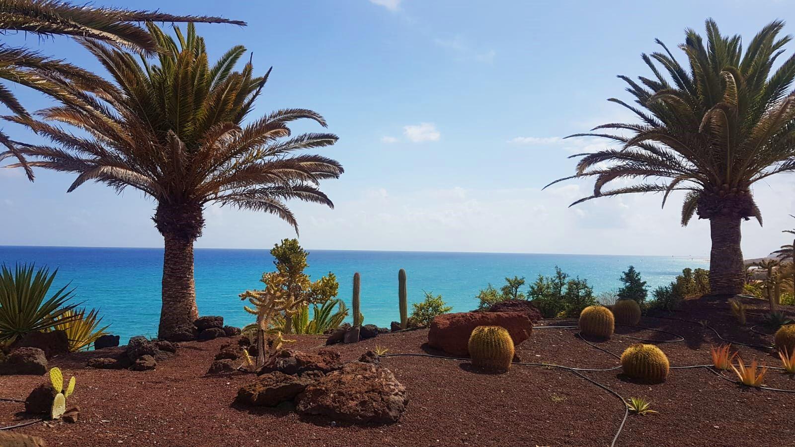 Glutenfrei Urlaub auf der Insel Fuerteventura