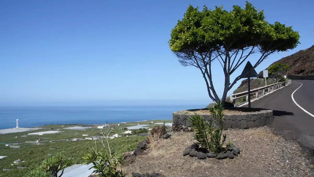 La Caleta Apartamentos