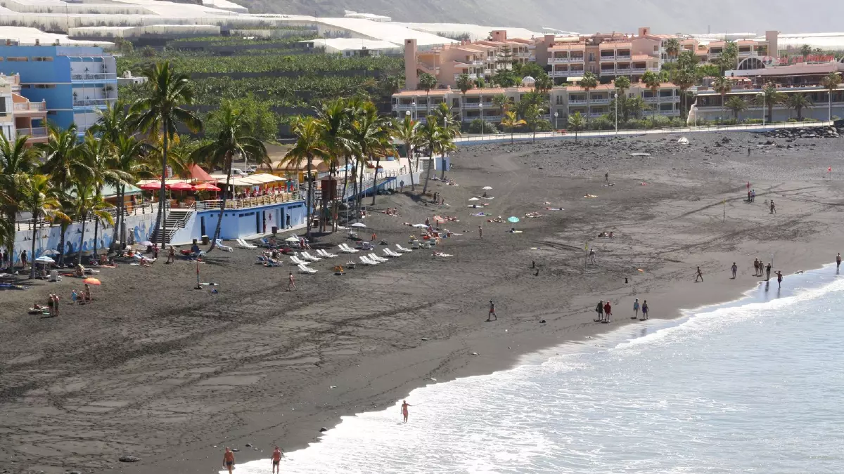 Meli&aacute; La Palma Hotel