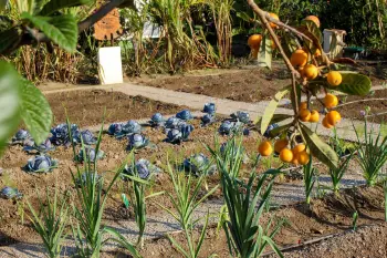 Hotel Playa Granada Motril Spanien Costa de la Luz