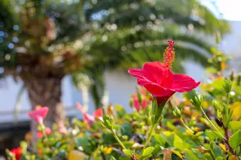 Hotel Playa Granada Motril Spanien Costa de la Luz