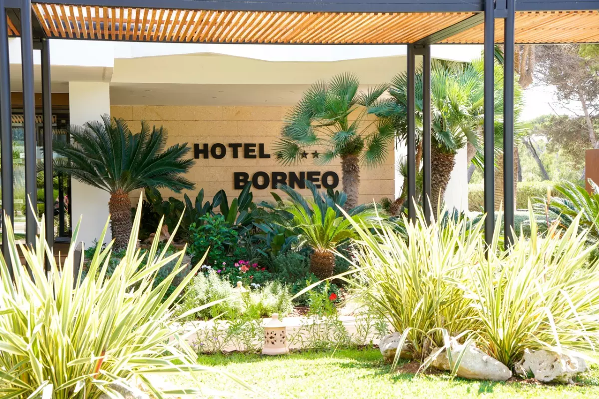 allsum Borneo Cala Millor