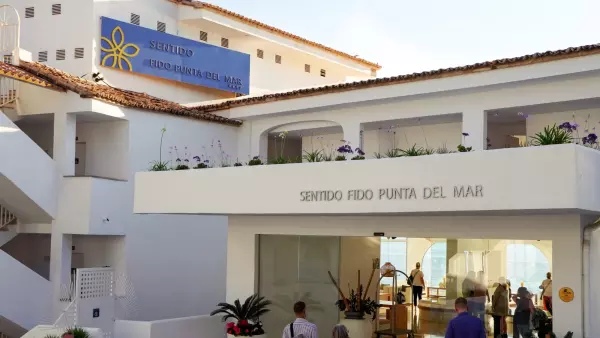 sentido-fido-punta-del-mar-1