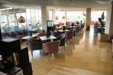 sentido-fido-punta-del-mar-12