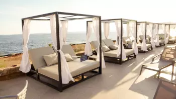 sentido-fido-punta-del-mar-14