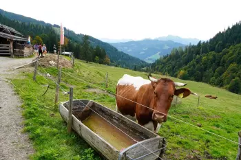 Osttirol