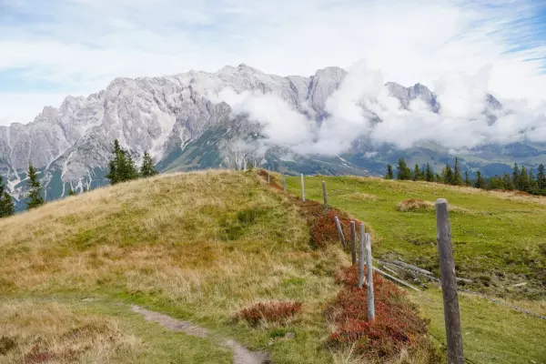 oesterreich-glutenfrei.6